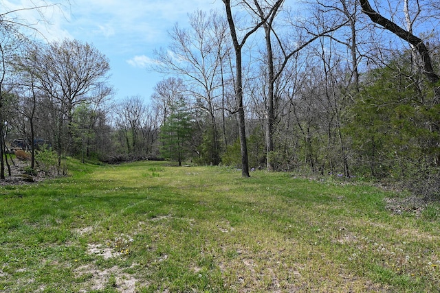 view of yard with a view of trees