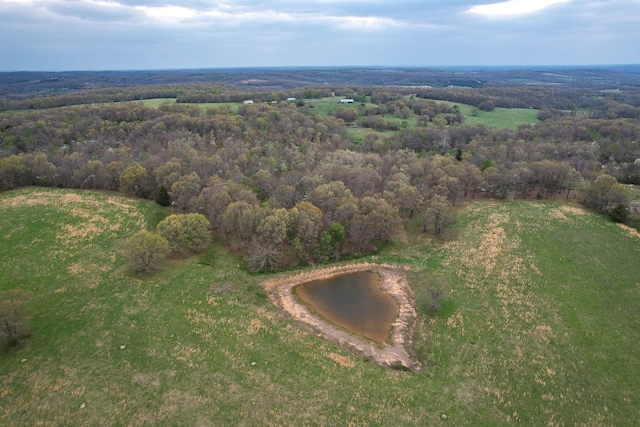 8100 Creek Rd, Hartville, MO 65667 - drone / aerial view with a view of trees