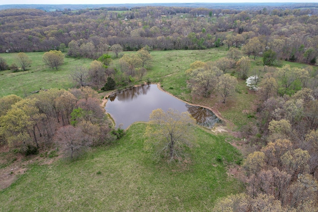 8100 Creek Rd, Hartville, MO 65667 - bird's eye view with a view of trees and a water view