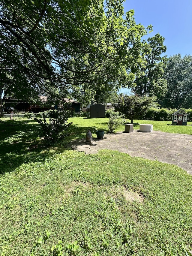 2036 E Greenwood St, Springfield, MO 65804 - view of green lawn with a storage shed