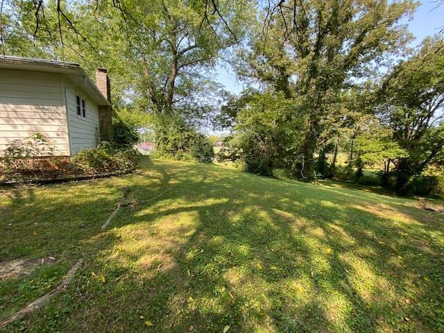 view of yard