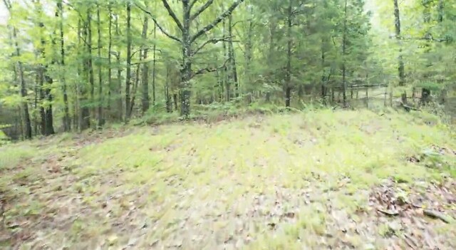 TRACT3B45 Rte 4, Squires, MO 65755