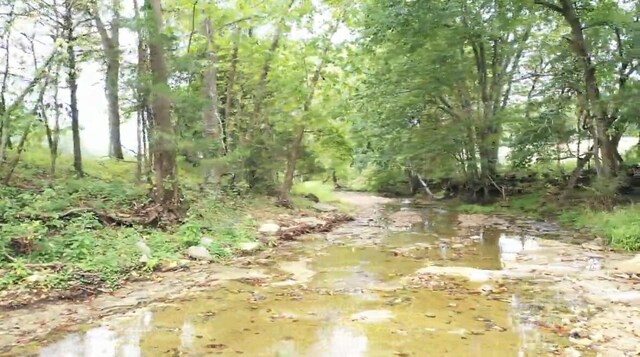 TRACT3B45 Rte 4, Squires, MO 65755