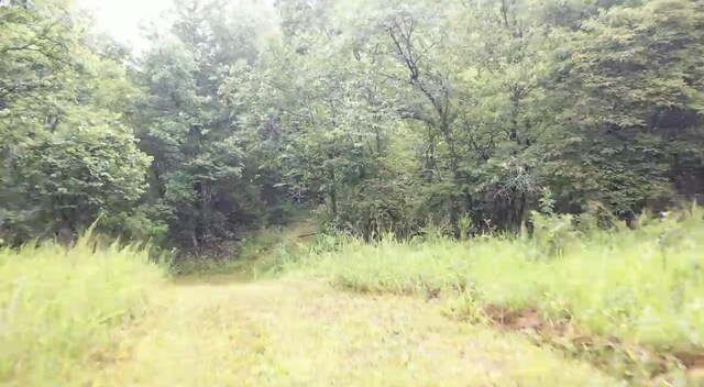 TRACT3B45 Rte 4, Squires, MO 65755
