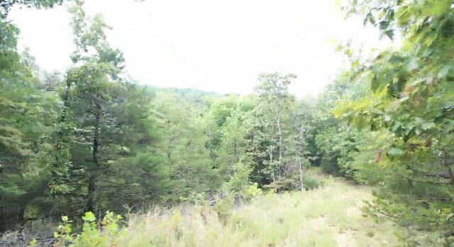 TRACT3B45 Rte 4, Squires, MO 65755