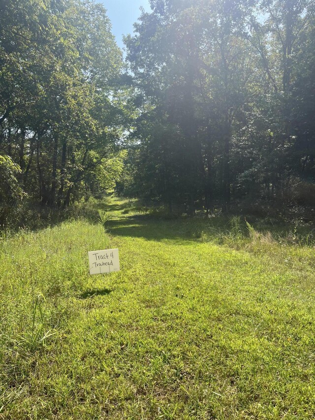 TRACT3B45 Rte 4, Squires, MO 65755