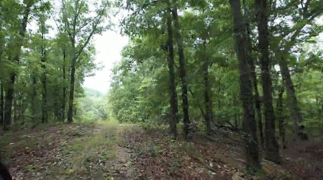 TRACT3B45 Rte 4, Squires, MO 65755