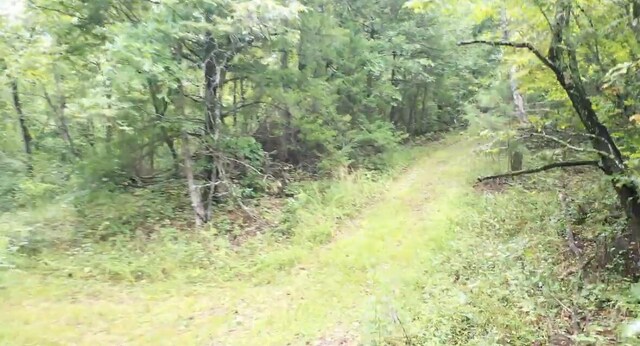 TRACT3B45 Rte 4, Squires, MO 65755
