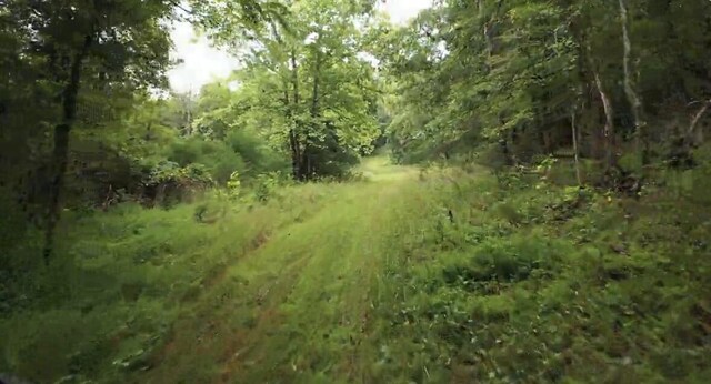 TRACT3B45 Rte 4, Squires, MO 65755