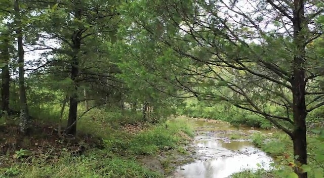 TRACT3B45 Rte 4, Squires, MO 65755