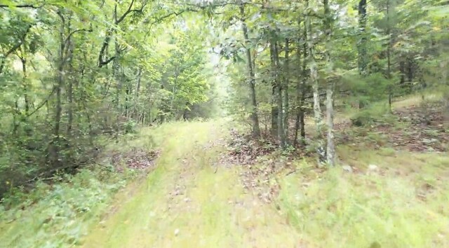 TRACT3B45 Rte 4, Squires, MO 65755