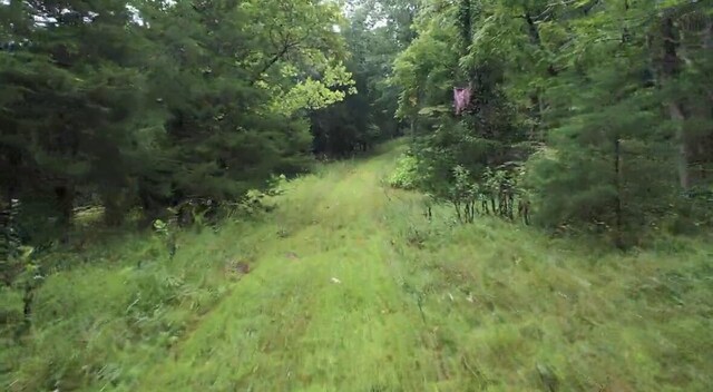 TRACT3B45 Rte 4, Squires, MO 65755