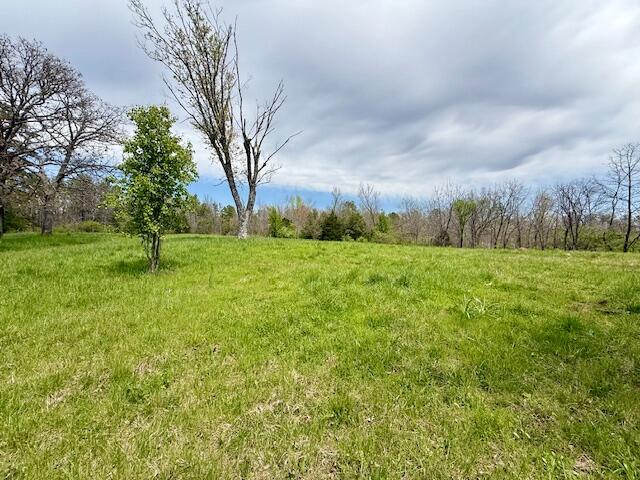 5484 Mily St, Winona, MO 65588 - photo 10