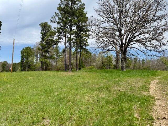 5484 Mily St, Winona, MO 65588 - photo 11