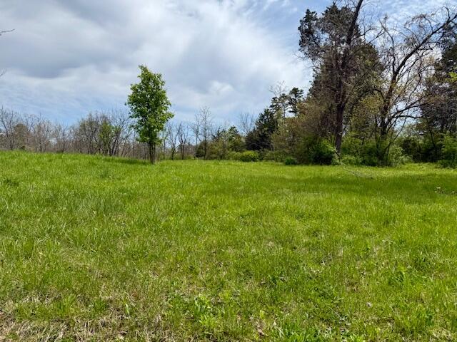 5484 Mily St, Winona, MO 65588 - photo 12