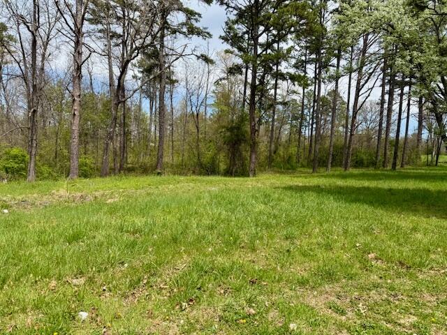 5484 Mily St, Winona, MO 65588 - photo 2