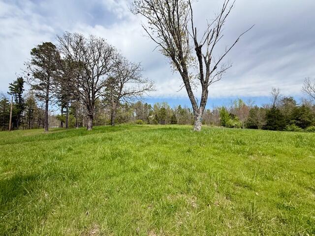 5484 Mily St, Winona, MO 65588 - photo 9