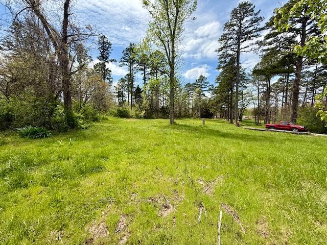 5484 Mily St, Winona, MO 65588 - photo 8