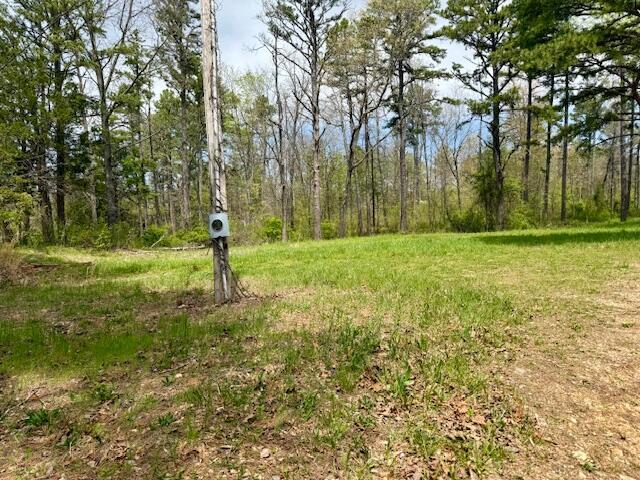 5484 Mily St, Winona, MO 65588 - photo 3