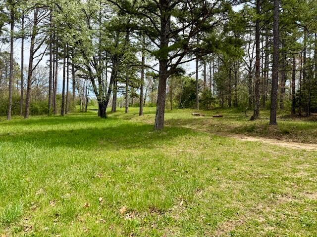 5484 Mily St, Winona, MO 65588 - photo 1