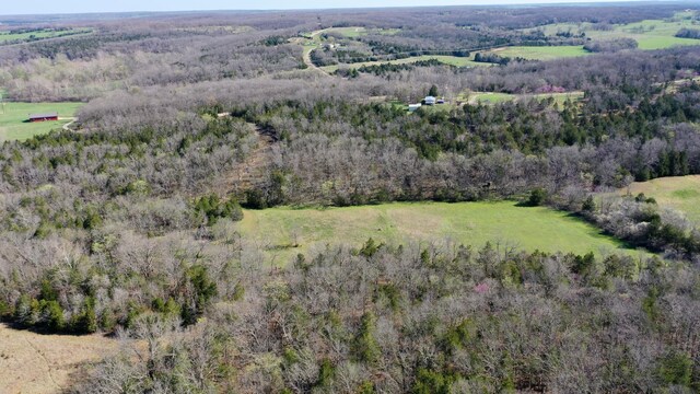 TBD Bethel Rd, Long Lane, MO 65590 - photo 3