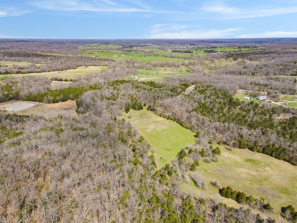 TBD Bethel Rd, Long Lane, MO 65590 - photo 2