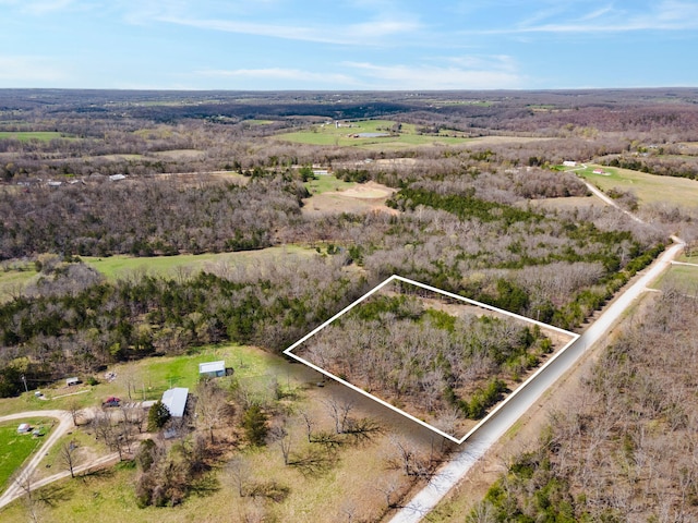 TBD Bethel Rd, Long Lane, MO 65590 - photo 1
