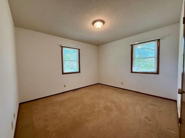 700 Ridgeway, Mountain View, MO 65548 - spare room featuring plenty of natural light, a textured ceiling, and light colored carpet