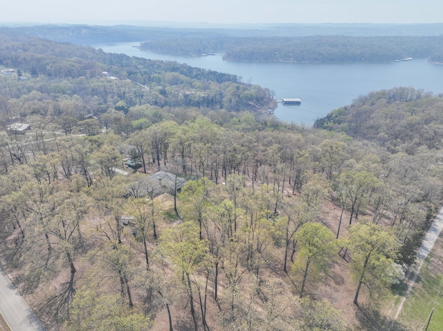 birds eye view of property with a forest view and a water view