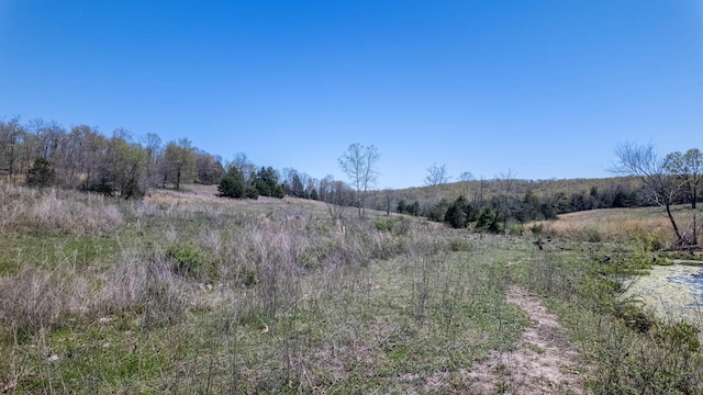 view of local wilderness with a rural view