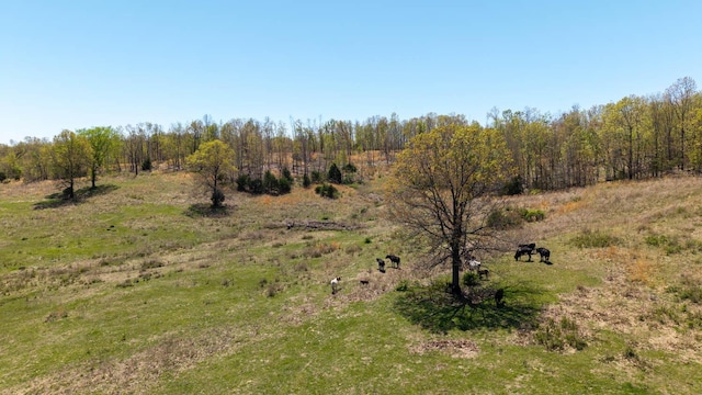 view of landscape featuring a rural view