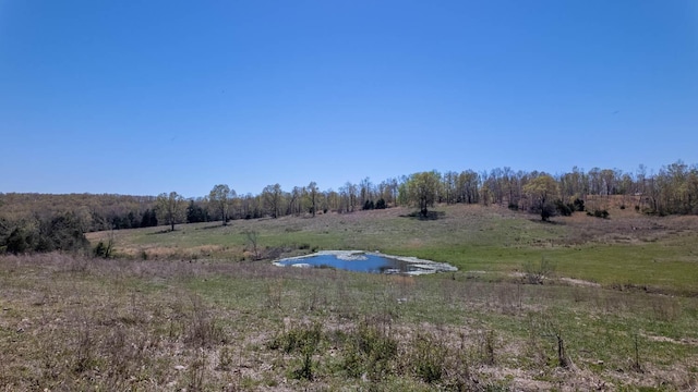 view of yard with a rural view