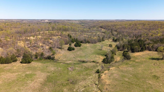 bird's eye view with a view of trees