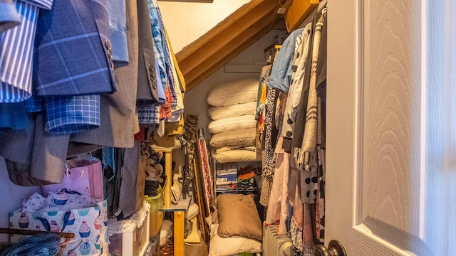 view of walk in closet