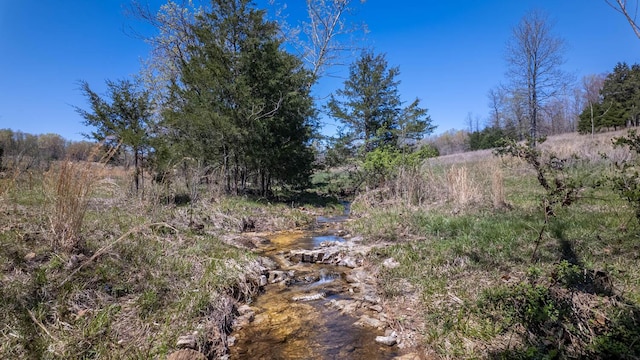 view of local wilderness