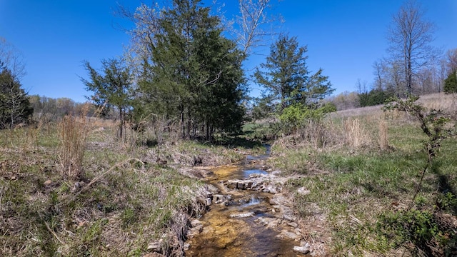 view of local wilderness