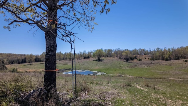 view of yard featuring a rural view and a forest view