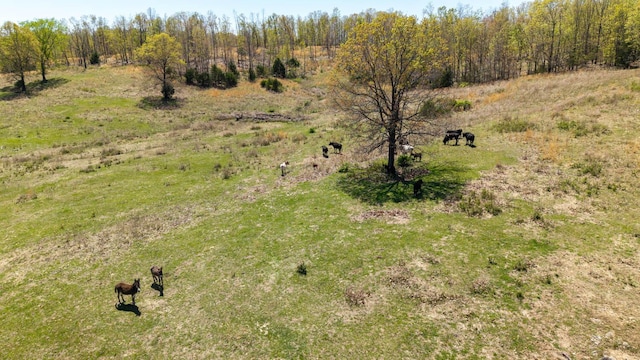 view of local wilderness featuring a rural view