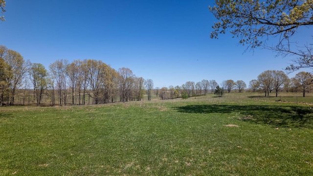 view of yard featuring a rural view