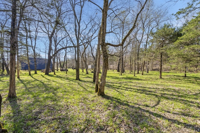 118 Bethel Rd, Long Lane, MO 65590 - view of yard