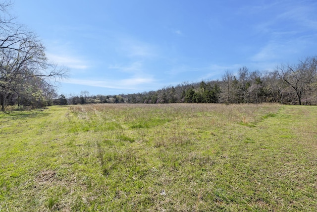 118 Bethel Rd, Long Lane, MO 65590 - view of landscape with a rural view