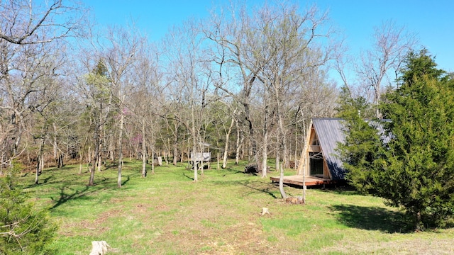 118 Bethel Rd, Long Lane, MO 65590 - view of yard