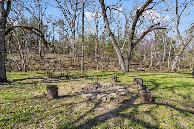 118 Bethel Rd, Long Lane, MO 65590 - view of yard