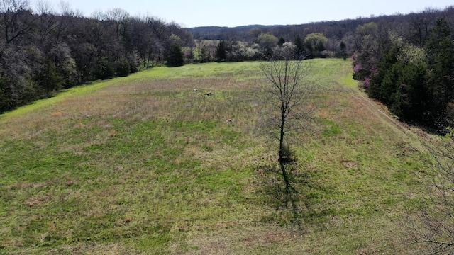 118 Bethel Rd, Long Lane, MO 65590 - exterior space with a wooded view
