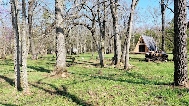 118 Bethel Rd, Long Lane, MO 65590 - view of yard