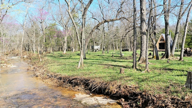 118 Bethel Rd, Long Lane, MO 65590 - view of yard
