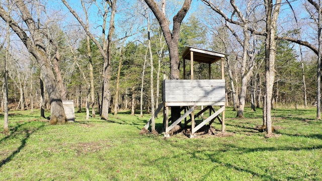 118 Bethel Rd, Long Lane, MO 65590 - view of yard
