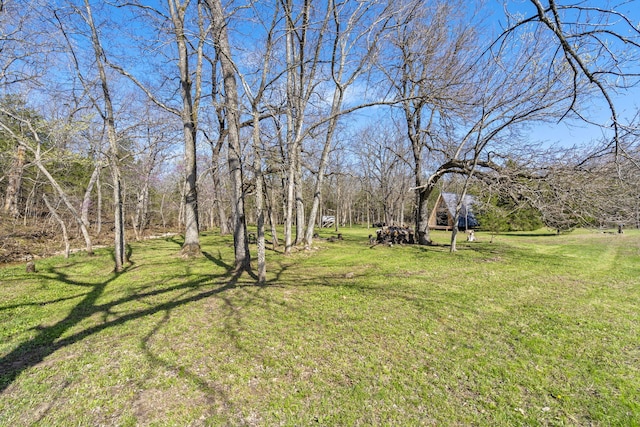 118 Bethel Rd, Long Lane, MO 65590 - view of yard