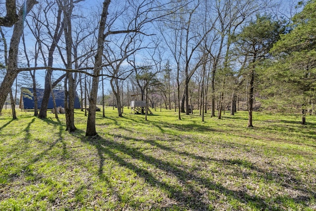 118 Bethel Rd, Long Lane, MO 65590 - view of yard