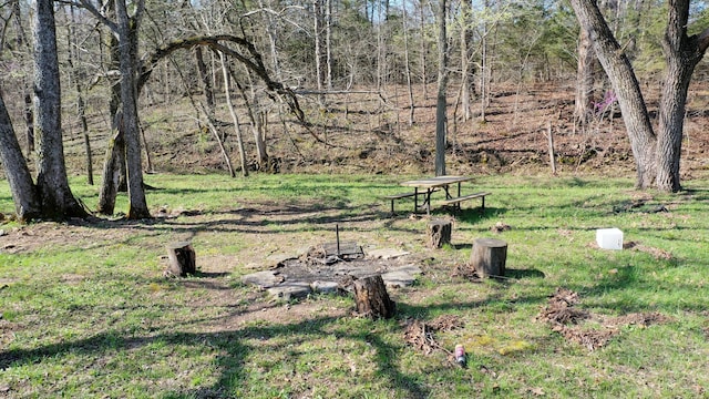 118 Bethel Rd, Long Lane, MO 65590 - view of yard